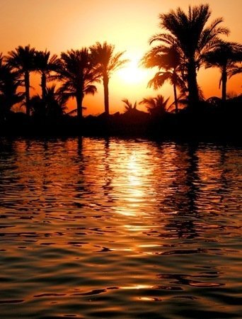 Fotos de Dubai (15)
