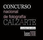 Premio Calzarte 2008