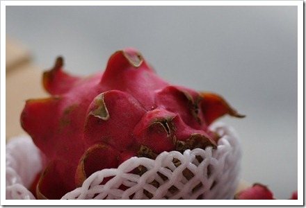fruta dragon