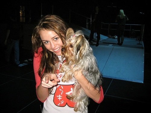 miley cyrus 5 Miley Cirus: la mas fashion