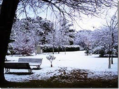 nieve3