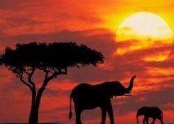 Las mejores fotos de atardeceres | Los atardeceres más bonitos del mundo